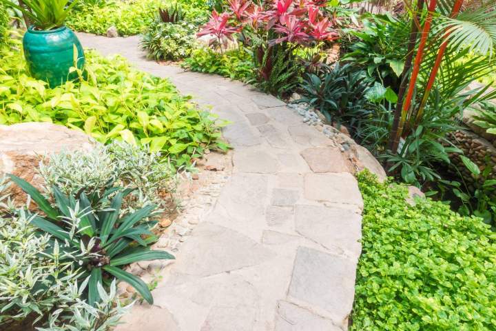 Allée de jardin Créon